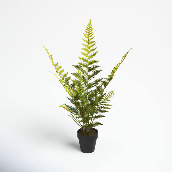 Faux Fern Plant in Pot Joss & Main